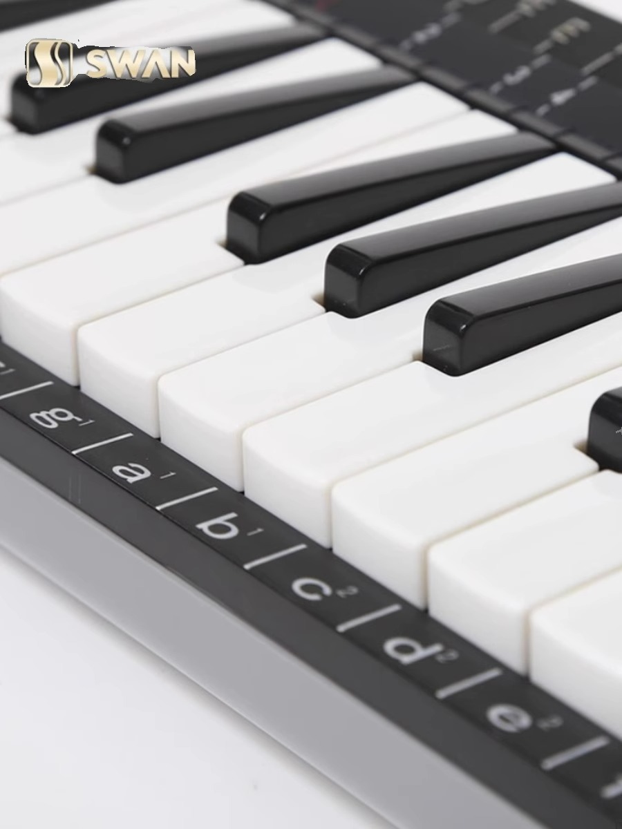 37 Tuşlu Profesyonel Melodika  - Musical Instrument Melodica incelemesi ve fiyatı